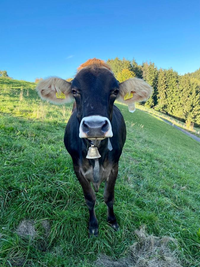Ferienwohnung Bergblick Wangen Im Allgaeu Mit Garten, 2022 Komplett Renoviert Экстерьер фото